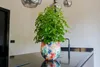 Collection TS - Blumentopf Sparkle spring - 24x21 Voir les images du produit 8