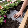 Bewässerungsvlies 500g/m² - Wasserspeicher für eine Produktbild-Vorschau 10