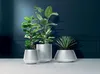 Three modern planters with plants in them, set against a dark blue wall. Náhľad obrázku produktu