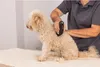 Wahl Arco Pro Cordless Profi Tierhaarschneidemaschine Produktbild-Vorschau 5