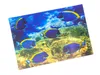 3 D Ansichtskarte Doktorfische, Fische Meerstiere Ozean Produktbild-Vorschau 2