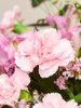 Blumenstrauß Blossom Beauty | Geschenk - frische Blumen | Produktbild-Vorschau 2