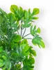 Plantes d'aquarium artificielles, 40 x 20 cm XL, socle en Voir les images du produit 2