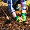 KOTARBAU® Gartenhacke Herzblatt 100 mm x 75 mm 2 Zinken 65 Produktbild-Vorschau 5