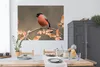 MuchoWow® Poster Vogel - Laub - Herbst - Gimpel - 160x120 Produktbild-Vorschau 3