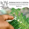 Echte Mimose Samen (Mimosa Pudica) mit hoher Keimrate -  Produktbild-Vorschau 4