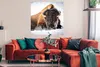 MuchoWow® Poster Amerikanische Bisons im Winter 100x100 cm Produktbild-Vorschau 2