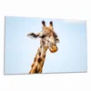 Wallario Herdabdeckplatte aus Glas, Größe 80 x 52 cm Produktbild-Vorschau 1