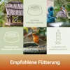 PANTO Sonnenblumenkerne geschält – 25 kg Vogelfutter Produktbild-Vorschau 4