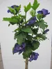 Hochstamm Garten-Eibisch Ultramarine - Hibiscus syriacus - Produktbild-Vorschau 2