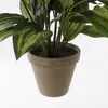 Sztuczna roślina Mica Decorations Hosta - H65 x Ø40 cm - Podgląd zdjęcia produktu 4