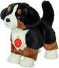 Teddy Hermann 91930 Bernský salašnícky pes, šteniatko 23 cm Náhľad obrázku produktu 1