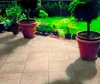 Beton Terrassenplatte iStone Basic ocker-gelb-rosè 40 cm x Produktbild-Vorschau 2