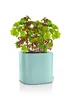 Fioriera LECHUZA PILA Colour Planter Verde Pastello | Anteprima dell’immagine prodotto 3