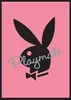 Playboy - Poster - Playmate Bunny + 1 Ü-Poster dimensioni Anteprima dell’immagine prodotto 1