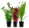 Pflanzen Set mit 3 Hintergrund Topf Aquarium Wasserpflanzen Produktbild-Vorschau 1