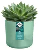 elho® Ocean Cache-pot Vert Pacifique Ø 14 cm en plastique Voir les images du produit 3