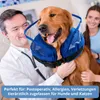 Halskrause Hund, Aufblasbar Leckschutz Hund Katze Abnehmbar Produktbild-Vorschau 5