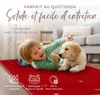carpetfine Tapis de laine Gabbeh Uni couloir Rouge 60x180 Voir les images du produit 5