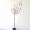 Prunus triloba, Höhe: 160-170 cm, Mandelbaun, Stamm rosa Produktbild-Vorschau 1