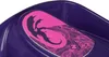 Hamax Sno Dragon Purple Skiboby Náhled obrázku produktu 3