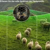 8K Wildkamera 60MP – 0,1s Auslöser, 20m Nachtsicht, 7800mAh Produktbild-Vorschau 2