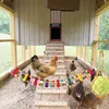 SUQ 5PCS Hühnerspielzeug für Stallzubehör, Produktbild-Vorschau 2