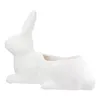 Gilde Hase Schale "Bosco" 55441 Produktbild-Vorschau 2