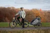 Qeridoo Fahrradanhänger Qupa 1 Modell Grey Produktbild-Vorschau 11