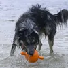 Beeztees Apportino Ball - Hundespielzeug - orange - Produktbild-Vorschau 6