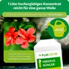 Purgrün nawóz do hibiskusa 1 litr Podgląd zdjęcia produktu 4