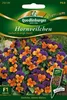 Hortensia sorbet, oranje duo, F1 Productafbeelding-voorbeeld 1