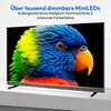 A close-up of a colorful parrot displayed on a television screen, with marketing text above. Produktbild-Vorschau