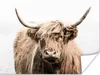 MuchoWow® Poster Schottischer Highlander - Tiere - Fell Produktbild-Vorschau 1