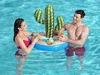 Bestway 43244, Modrá, Zelená, Obrázok, PVC, Cactus, 67 cm, Náhľad obrázku produktu 3