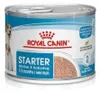 Royal Canin Starter Mousse Mother & Baby Dog, Univerzálne, Náhľad obrázku produktu 1