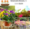4x tappeto di semi Miscela di semi di fiori per fioriere - Anteprima dell’immagine prodotto 3