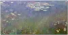 Coloray Küchenrückwand 100x50 Spritzschutz aus Glas - Monet Produktbild-Vorschau 1