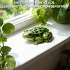 3 Stück 3D-Silikon-Formen, Tiermotive (Schildkröte, Frosch, Produktbild-Vorschau 5