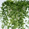 Erbsenpflanze - Senecio rowleyanus - Höhe 10-20cm - ⌀12cm Produktbild-Vorschau 3