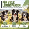 REAVET Grünlippmuschel Kapseln 100 Stück Hund hochdosiert - Produktbild-Vorschau 6