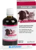 Alfavet Pulmo alfa 100 ml | Abwehrkräfte der Atemwege | Produktbild-Vorschau 6