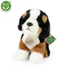 Plüsch Berner Sennenhund 18 cm Umweltfreundlich Produktbild-Vorschau 1