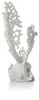 biOrb Fan coral ornament M white Náhled obrázku produktu 1
