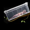 Terrario Terrarium Faunarium 33x22x15cm Terrario Podgląd zdjęcia produktu 7