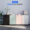 A four-drawer mobile file cabinet unit in different colors is displayed in a home or office setting, with decorative items on top and plants nearby. Anteprima dell’immagine prodotto