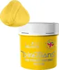 La Riché Directions Sun Flower Colour Booster Conditioner Produktbild-Vorschau 17