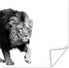 MuchoWow® Poster Löwe - Tiere - Schwarz - Weiß 75x75 cm - Produktbild-Vorschau 1