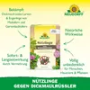 Neudorff Nützlinge gegen Dickmaulrüssler – 5 Mio. Produktbild-Vorschau 2