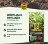 COMPO  11431 COMPO SANA Grünpflanzen- und Palmenerde, 10 l Podgląd zdjęcia produktu 11